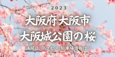 2023年大阪城公園の桜の見頃はいつ？満開時期、屋台、花見イベント情報、大阪城公園駅からのアクセス方法をチェック