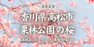 2023年栗林公園の桜の見頃はいつ？満開時期、屋台、花見イベント情報、栗林公園北口駅からのアクセス方法をチェック