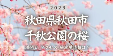 2023年千秋公園の桜の見頃はいつ？満開時期、屋台、花見イベント情報、秋田駅からのアクセス方法をチェック