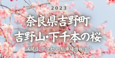 2023年吉野山･下千本の桜の見頃はいつ？満開時期、屋台、花見イベント情報、吉野駅からのアクセス方法をチェック