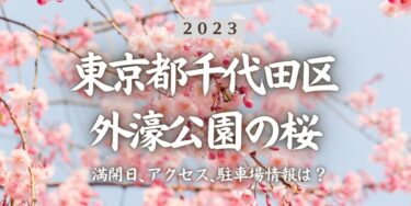 2023年外濠公園の桜の見頃はいつ？満開時期、屋台、花見イベント情報、四ツ谷駅からのアクセス方法をチェック