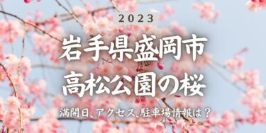 2023年高松公園の桜の見頃はいつ？満開時期、屋台、花見イベント情報、盛岡駅からのアクセス方法をチェック