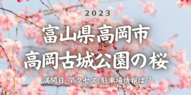 2023年高岡古城公園の桜の見頃はいつ？満開時期、屋台、花見イベント情報、高岡駅からのアクセス方法をチェック