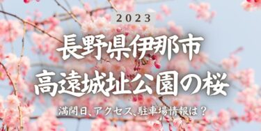 2023年高遠城址公園の桜の見頃はいつ？満開時期、屋台、花見イベント情報、伊那市駅からのアクセス方法をチェック