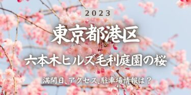 2023年六本木ヒルズ毛利庭園の桜の見頃はいつ？満開時期、屋台、花見イベント情報、六本木駅からのアクセス方法をチェック