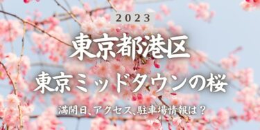 2023年東京ミッドタウンの桜の見頃はいつ？満開時期、屋台、花見イベント情報、六本木駅からのアクセス方法をチェック