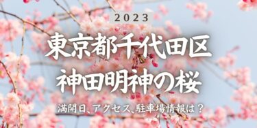 2023年神田明神の桜の見頃はいつ？満開時期、屋台、花見イベント情報、御茶ノ水駅からのアクセス方法をチェック