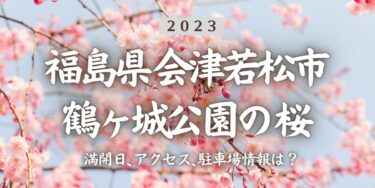 2023年鶴ヶ城公園の桜の見頃はいつ？満開時期、屋台、花見イベント情報、会津若松駅からのアクセス方法をチェック