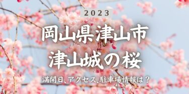 2023年津山城・鶴山公園の桜の見頃はいつ？満開時期、屋台、花見イベント情報、津山駅からのアクセス方法をチェック