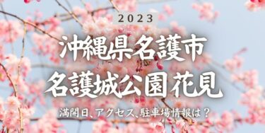 2023年名護城公園の桜の見頃はいつ？満開時期、屋台、花見イベント情報、許田ICからのアクセス方法をチェック