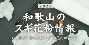 2023年和歌山県のスギ花粉はいつまで？ピークは？今年の花粉は多い？今年のスギ山の状況は？今日の花粉症ひどい？リアルタイム情報