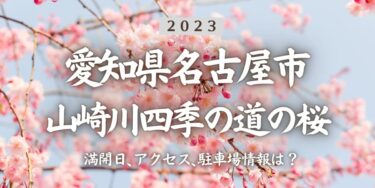 2023年山崎川四季の道の桜の見頃はいつ？満開時期、屋台、花見イベント情報、瑞穂区役所駅からのアクセス方法をチェック
