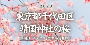 2023年靖国神社の桜の見頃はいつ？満開時期、屋台、花見イベント情報、九段下駅からのアクセス方法をチェック