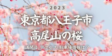 2023年高尾山の桜の見頃はいつ？満開時期、屋台、花見イベント情報、高尾山口駅からのアクセス方法をチェック