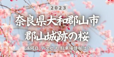 2023年郡山城跡の桜の見頃はいつ？満開時期、屋台、花見イベント情報、郡山駅からのアクセス方法をチェック