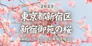 2023年新宿御苑の桜の見頃はいつ？満開時期、屋台、花見イベント情報、新宿駅からのアクセス方法をチェック