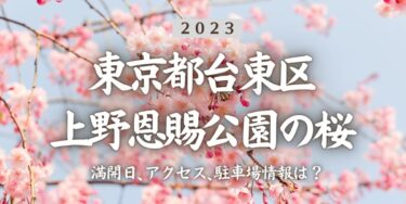 2023年上野恩賜公園の桜の見頃はいつ？満開時期、屋台、花見イベント情報、上野駅からのアクセス方法をチェック