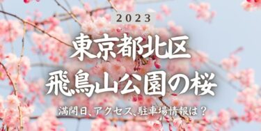 2023年飛鳥山公園の桜の見頃はいつ？満開時期、屋台、花見イベント情報、王子駅からのアクセス方法をチェック