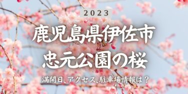 2023年忠元公園の桜の見頃はいつ？満開時期、屋台、花見イベント情報、新水俣駅からのアクセス方法をチェック