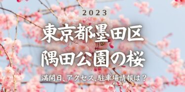 2023年隅田公園の桜の見頃はいつ？満開時期、屋台、花見イベント情報、浅草駅からのアクセス方法をチェック