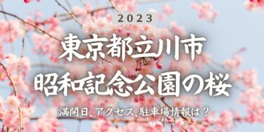 2023年昭和記念公園の桜の見頃はいつ？満開時期、屋台、花見イベント情報、立川駅からのアクセス方法をチェック