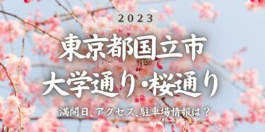 2023年国立大学通り･桜通りの桜の見頃はいつ？満開時期、屋台、花見イベント情報、矢川駅からのアクセス方法をチェック