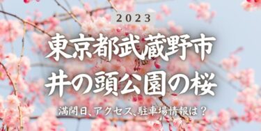 2023年井の頭恩賜公園の桜の見頃はいつ？満開時期、屋台、花見イベント情報、吉祥寺駅からのアクセス方法をチェック