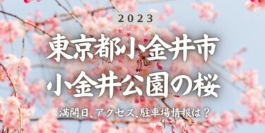 2023年小金井公園の桜の見頃はいつ？満開時期、屋台、花見イベント情報、武蔵小金井駅からのアクセス方法をチェック