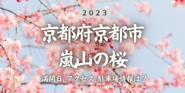 2023年嵐山(京都府)の桜の見頃はいつ？満開時期、屋台、花見イベント情報、嵯峨嵐山駅からのアクセス方法をチェック