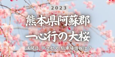 2023年一心行の大桜の見頃はいつ？満開時期、屋台、花見イベント情報、中松駅からのアクセス方法をチェック