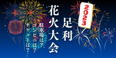 足利花火大会2023を見られる場所は？穴場は？屋台や時間、交通情報の開催情報をチェック！