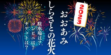 おおあみしらさとの花火2023を見られる場所は？穴場は？屋台や時間、交通情報の開催情報をチェック！