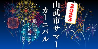 山武市サマーカーニバル2023を見られる場所は？穴場は？屋台や時間、交通情報の開催情報をチェック！