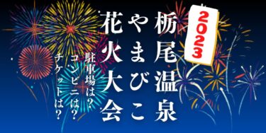 栃尾温泉やまびこ花火大会2023を見られる場所は？穴場は？屋台や時間、交通情報の開催情報をチェック！