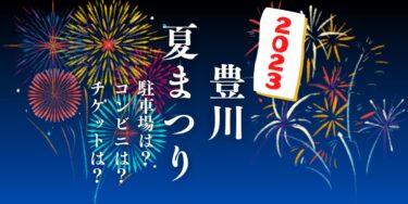 豊川夏まつり2023を見られる場所は？穴場は？屋台や時間、交通情報の開催情報をチェック！