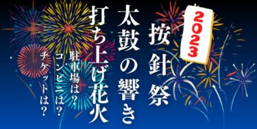 按針祭 太鼓の響き打上花火2023を見られる場所は？穴場は？屋台や時間、交通情報の開催情報をチェック！