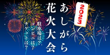 あしがら花火大会2023を見られる場所は？穴場は？屋台や時間、交通情報の開催情報をチェック！