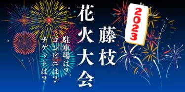 藤枝花火大会2023を見られる場所は？穴場は？屋台や時間、交通情報の開催情報をチェック！