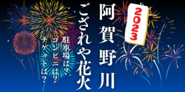 阿賀野川ござれや花火2023を見られる場所は？穴場は？屋台や時間、交通情報の開催情報をチェック！