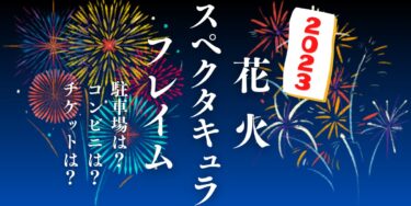 花火スペクタキュラ「フレイム」2023を見られる場所は？穴場は？屋台や時間、交通情報の開催情報をチェック！