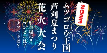 小城市ムツゴロウ王国芦刈夏まつり花火大会2023を見られる場所は？穴場は？屋台や時間、交通情報の開催情報をチェック！