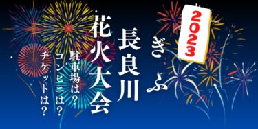 ぎふ長良川花火大会2023を見られる場所は？穴場は？屋台や時間、交通情報の開催情報をチェック！