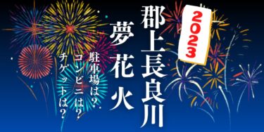 郡上長良川夢花火2023を見られる場所は？穴場は？屋台や時間、交通情報の開催情報をチェック！