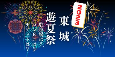 東城「遊夏祭」2023を見られる場所は？穴場は？屋台や時間、交通情報の開催情報をチェック！